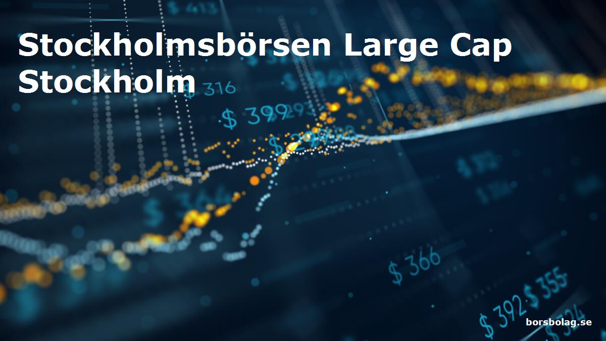 Stockholmsbörsen Large Cap Stockholm